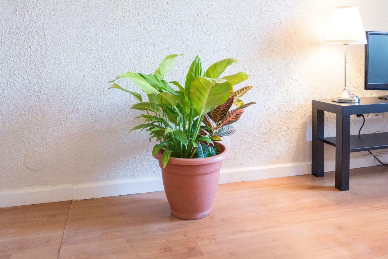 Apartamento Entrepinares Málaga